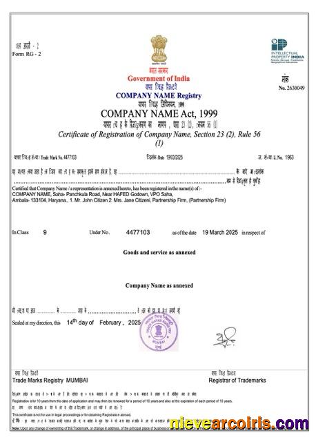 India certificate of registration, version 3